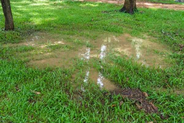 Cost of Storm Water Drainage Service in Warren