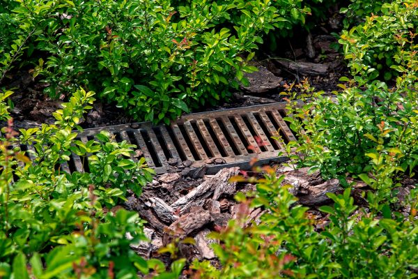 Cost of Underground Drainage Service in Warren