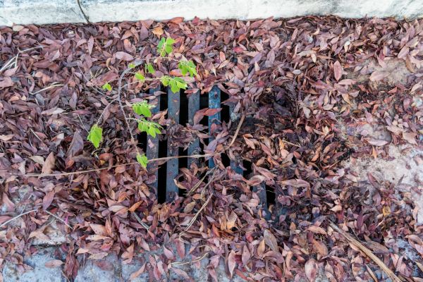 Cost of Yard Drain Unclogging in Warren