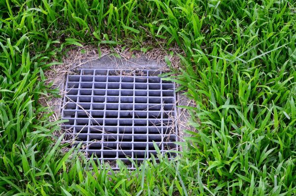 Cost of Yard Water Drainage in Warren