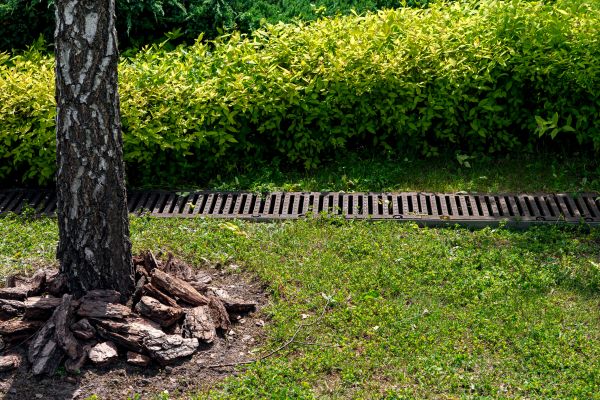 Cost of Wet Yard Drainage in Warren