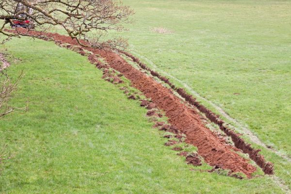Cost of Swale Installation in Warren