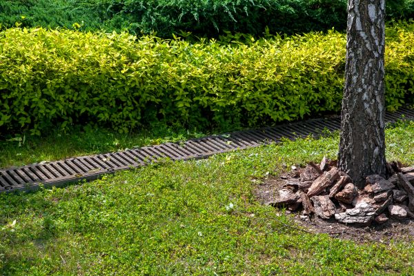 Cost of Residential Landscape Drainage in Warren