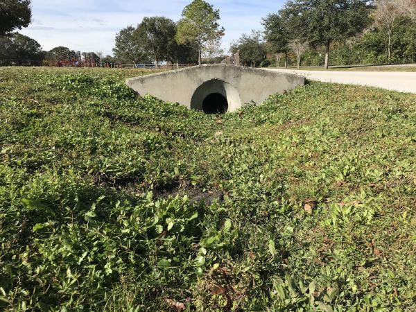 Cost of Swale Drainage Service in Warren
