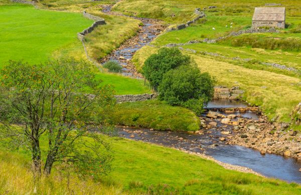 Cost of Swale Repair in Warren